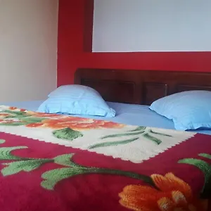 Willow Hill Leisure India